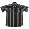 flyingrstripefullfront