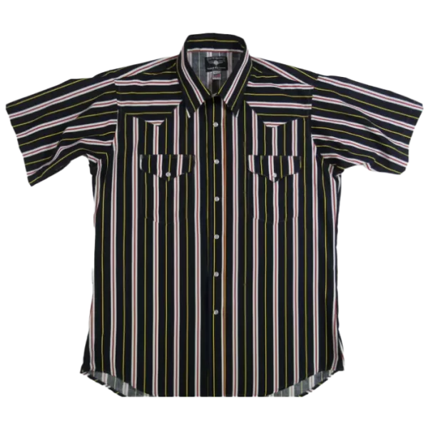 flyingrstripefullfront